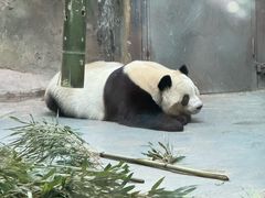 -青藏高原野生动物园