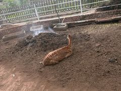 -丽泽山庄·生态怀柔菜·虹鳟鱼(红螺寺店)