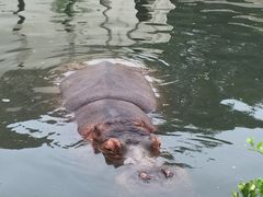 -辛玛王国游乐园