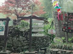 -宁波浙东大竹海景区