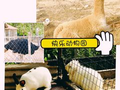 -意大利农场度假村