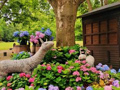 -上海共青森林公园