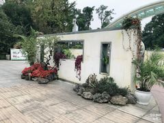 -南山植物园