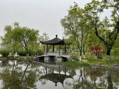 -武汉园博园(武汉自然博物馆)