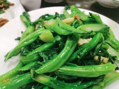 -万年酒楼(越秀南路店)