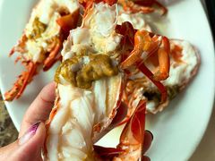 本地龙虾仔-蚝乡农庄(铁涌赤岸店)