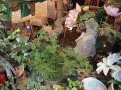 -多哥水傣味餐厅(司马巷店)