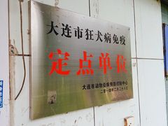 -邢大夫动物医院
