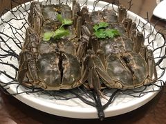 -同济大酒店(绿宝广场店)