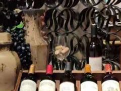 -桃源春晓中餐厅 TaoYuan Restaurant