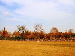 -灵谷景区