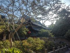 -龙华素斋(龙华路店)