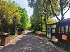 -绍兴镜湖国家城市湿地公园