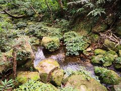 -海南热带雨林国家公园吊罗山景区