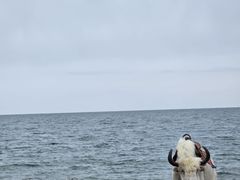 -青海湖二郎剑景区