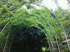 android_upload_pic-天河儿童公园