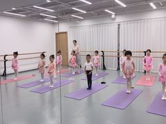 -中央芭蕾舞团·中芭艺蕾(酒仙桥明星校区)