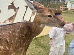-盈香心动乐园