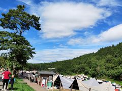 -武陵山森林公园