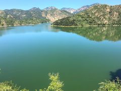 -燕塞湖鸟语林景区