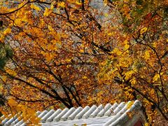 -北京上方山国家森林公园