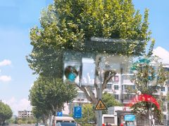 -锡笼记·无锡小笼(人民路店)