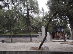 -关林