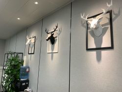 -MJ skin care国际皮肤管理中心