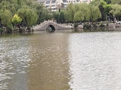 -文瀛公园