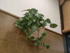 -庐州太太(双岗店)