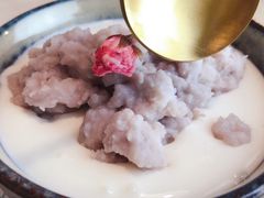 走错门的奶冻-春风·有糖(崇宁路店)