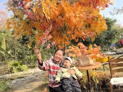 -HERRE·FARM 赫尔露营农场·团建聚会包场