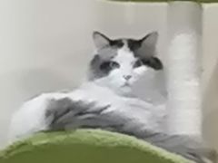 -白兔子密室(长寿路店)