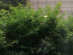 -杭州君悦酒店