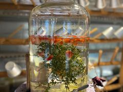 -野草莓自由市场