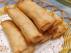 -丁老爷子苏香圆