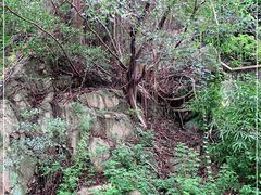 -鸿山公园