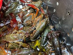 -拙味兄弟龙虾(新香洲店)