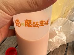 -猫的魔法密林(衣裳街店)