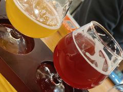 -玩啤国度精酿啤酒(宝山店)