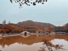 -大雁山风景区