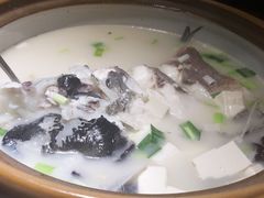 姜君千岛湖鱼头-姜君·千岛湖鱼头馆(浦东大道店)