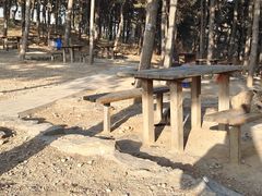 -北京西山国家森林公园