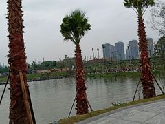 -枫香湖儿童公园