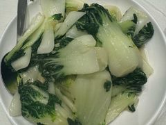 -峨嵋一派