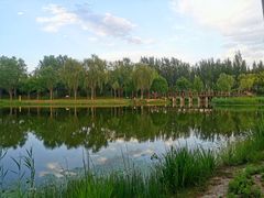 -东郊湿地公园