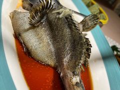 清蒸石斑鱼-尚一汤·粤菜海鲜(环球港店)