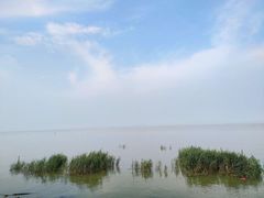-宾湖农庄·农场特色(太湖龙之梦店)