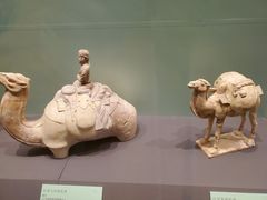 -辽宁省博物馆