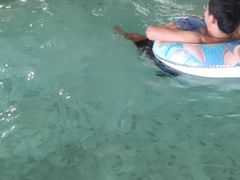 -嘉佑温泉水世界